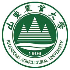2023山东农业大学中外合作分数线（含2021-2023历年分数）
