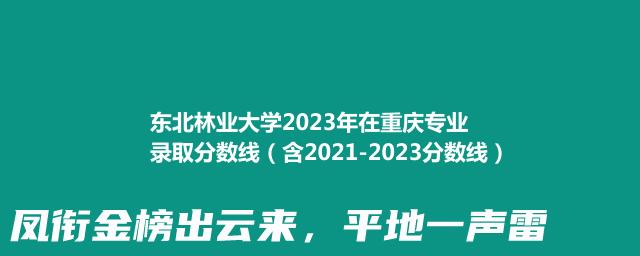 东北林业大学2021-2023近三年重庆专业录取分数线（含2021-2023分数线）