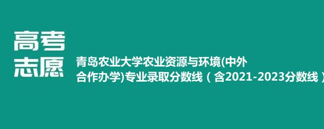 青岛农业大学农业资源与环境(中外合作办学)专业录取分数线（含2021-2023分数线）