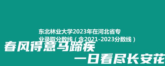 东北林业大学2021-2023近三年河北省专业录取分数线（含2021-2023分数线）