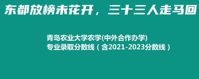 青岛农业大学农学(中外合作办学)专业录取分数线（含2021-2023分数线）