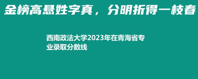 西南政法大学2023年在青海省专业录取分数线