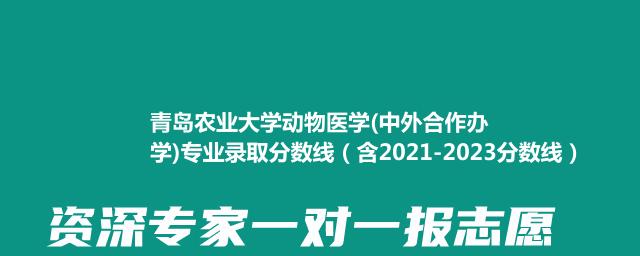 青岛农业大学动物医学(中外合作办学)专业录取分数线（含2021-2023分数线）