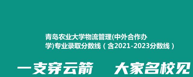 青岛农业大学物流管理(中外合作办学)专业录取分数线（含2021-2023分数线）